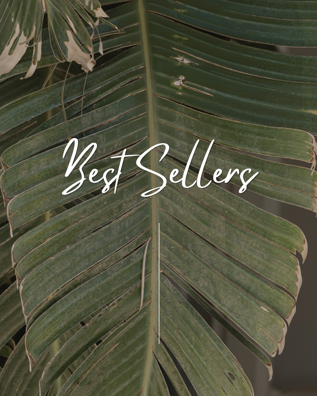 Best Sellers